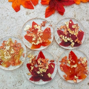 Fall Coasters | Set of 5