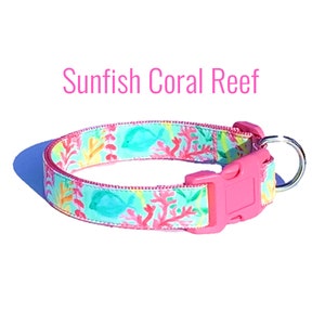 SUNFISH CORAL REEF Dog Collar