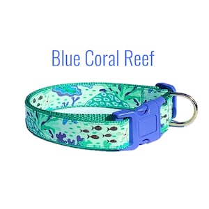 BLUE CORAL REEF Dog Collar