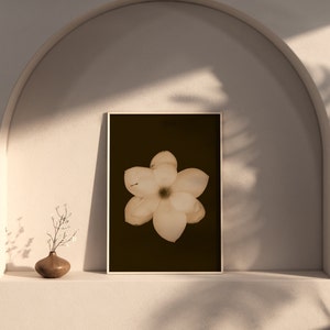 Magnolia Flower Fine Art Photography Print, Magnolia Flower Wall Decor Print