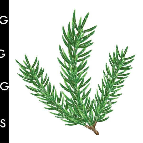 Christmas Tree Branch SVG PNG, Christmas Tree Branch Clipart, Digital Download, Christmas Leaves Branch Logo, SVG clipart, Instant Download