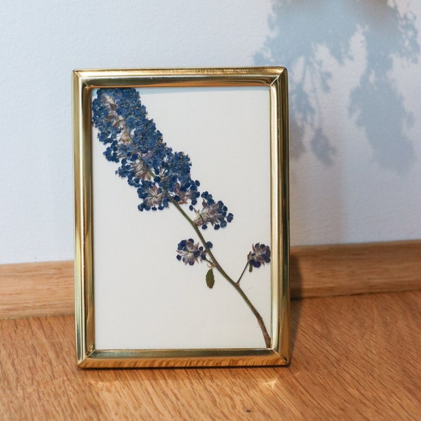 Pressed Flower Frame Etsy UK