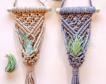 Percha de planta de aire, mini macrame colgante