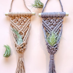 Air Plant Hanger, Mini Macrame Hanging