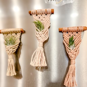 Air Plant Hanger Magnets | Plant Hanger | Macrame Fridge Magnet | Air Plant Hanger
