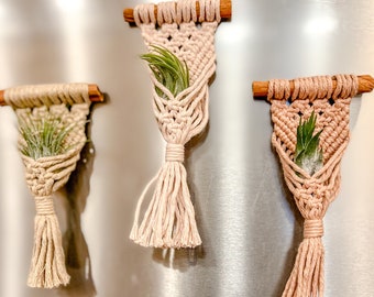Imanes para colgar plantas de aire / Colgador de plantas / Imán de macramé para nevera / Colgador de plantas de aire