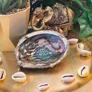Abalone Shell, Smudge Bowl, Incense Burner, Smudge Sticks