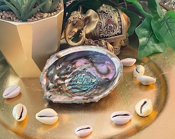 Abalone Shell, Smudge Bowl, Incense Burner, Smudge Sticks
