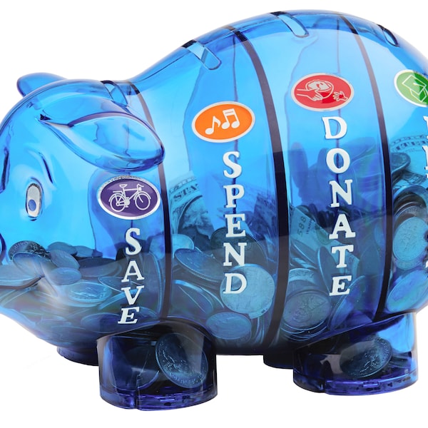 Money Savvy Pig divided educational piggy bank for kids