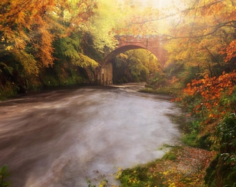 An Old Bridge and River in the Scottish Highlands in Autumn, Scotland, Digital Print Download, Printable Wall Art, Fall Leaves
