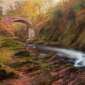 An Old Bridge and River in the Scottish Highlands in Autumn, Scotland, Digital Print Download, Printable Wall Art, Fall Leaves