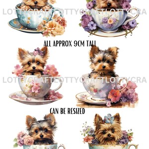Yorkshire Terrier w filiżance z papieru ryżowego morwowego do decoupage'u i wszelkich prac papierowych