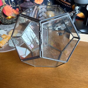 Può includere: Un terrario geometrico in vetro con una porta a cerniera, con una cornice in metallo scuro. I pannelli di vetro trasparente consentono di vedere l'interno. Il terrario è su una superficie di legno.