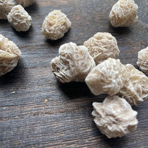 May include: A collection of beige desert rose crystals scattered on a dark wooden surface. The crystals have a unique, layered, and textured appearance, resembling delicate flower formations. The natural formations are a light tan color.