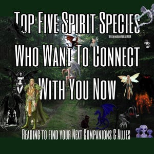 May include: A digital illustration of a forest scene with various spirit species, including fairies, dragons, and a black cat. The text reads "Top Five Spirit Species Who Want To Connect With You Now" and "Reading To Find Your Next Companions & Allies".