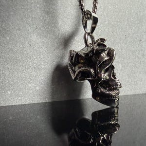 May include: A silver-toned metal pendant featuring a detailed human skull entwined with a snake, suspended from a matching metallic chain. The pendant has a polished finish with dark recessed areas that highlight the intricate textures of the skull.