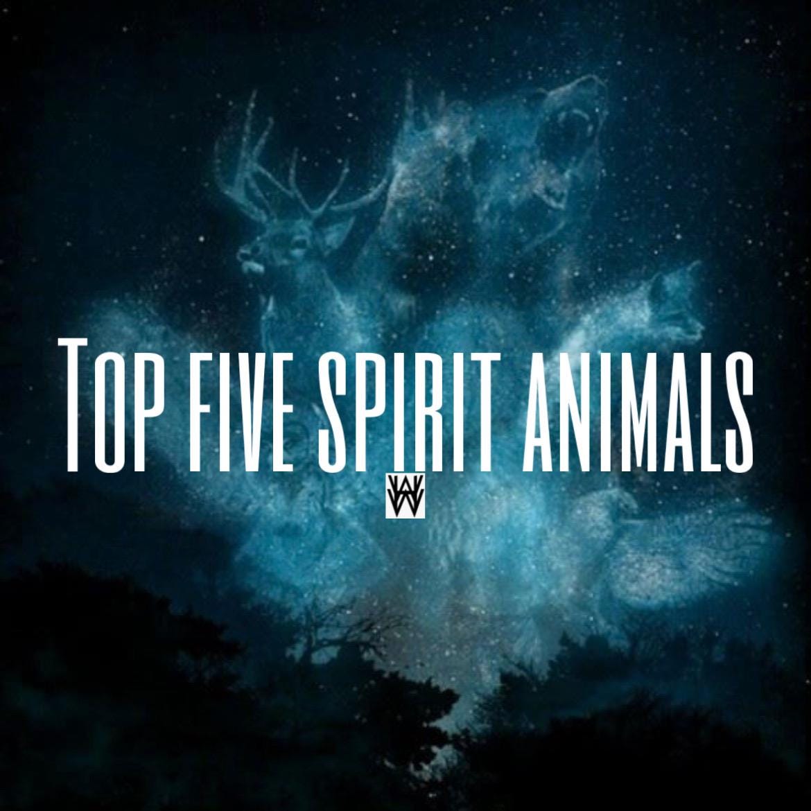 Spirit Animal Reading - Totem & Transitory Animal Spirits Around You