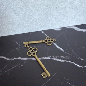 May include: Two antique-style brass keys with ornate, clover-shaped bows and simple shafts. The keys feature a metallic finish with a weathered appearance, each ending in a notched bit. They are positioned at an angle, showcasing their design.