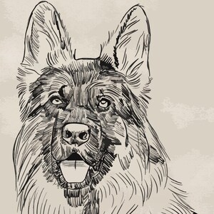 Schäferhund Skizze Deutscher Schäferhund Bleistift Zeichnung | Etsy