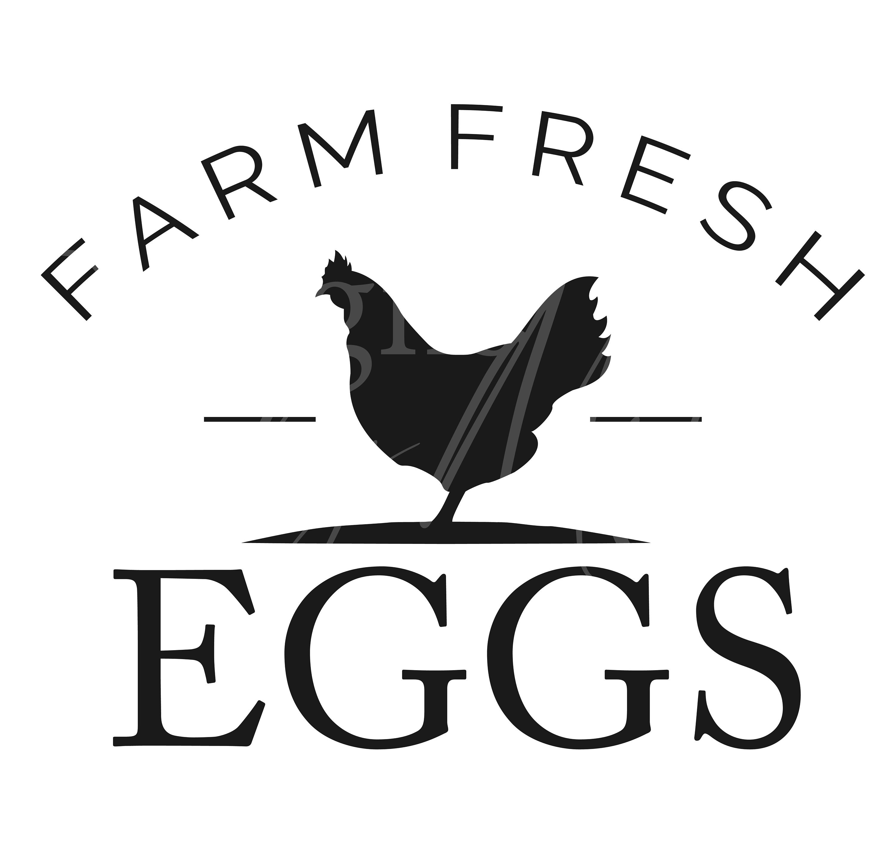 Ranged Fresh Farm Eggs for sale 48 ads for used Ranged Fresh Farm Eggs