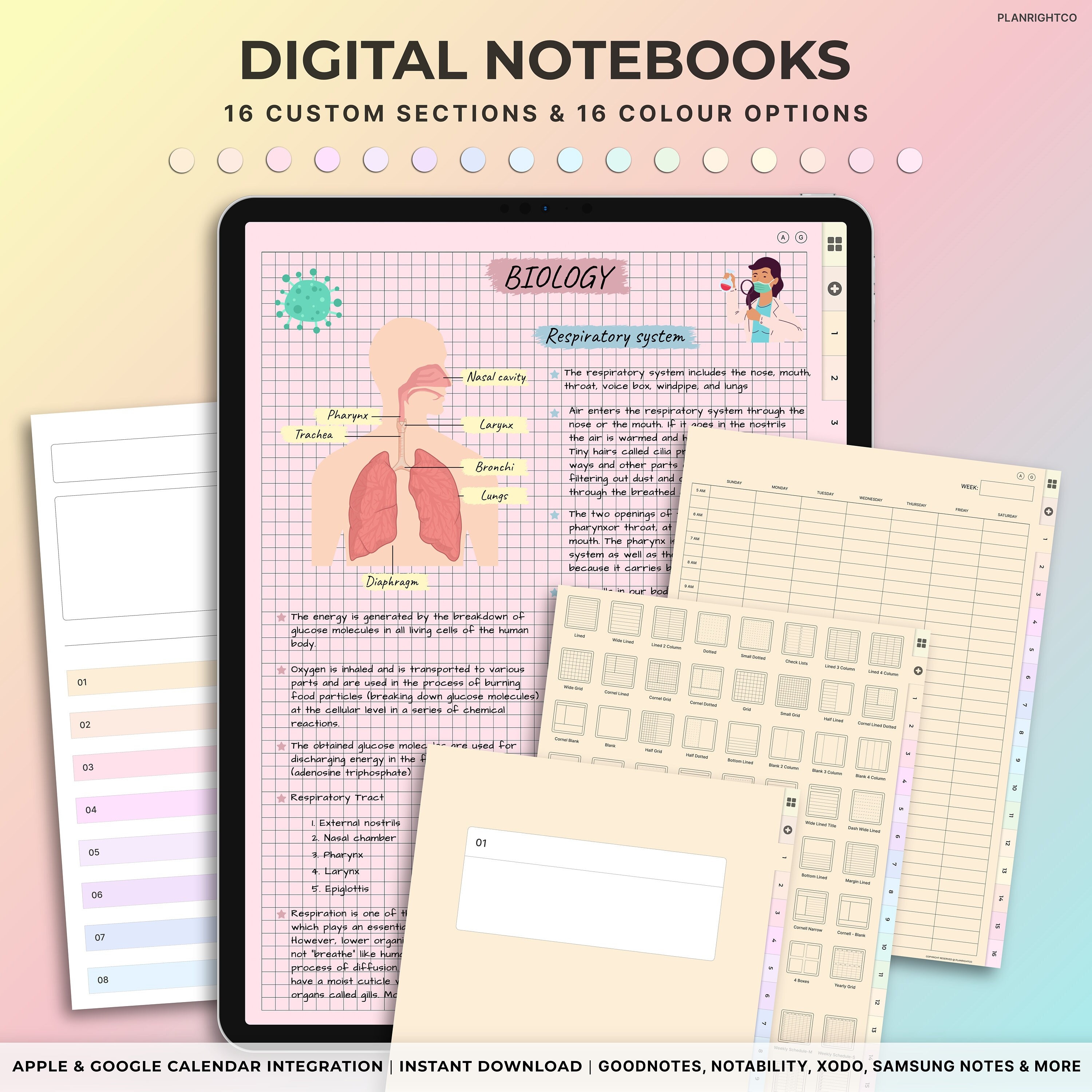 Digital Notebook with Tabs, Goodnotes Notebook, Student Notebook, Digital Notebooks, Digital Notes Templates, Note Taking Template, Journal