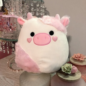 Customized 7-8 Squishmallow olivia the 