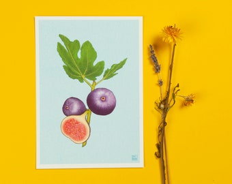 Figs colorful print (A5) | digital illustration