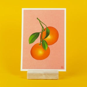 Mandarin bunte Illustration (A6) | Grußkarte mit Umschlag