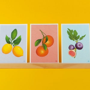 Ensemble de 3 illustrations de fruits colorées (A6) | Cartes de vœux avec enveloppe