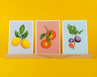 Set of 3 colorful fruit prints (A5) | digital illustrations