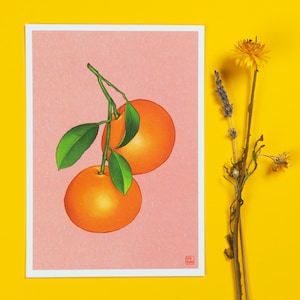 Mandarine bunter Druck (A5) | Digitale Illustration