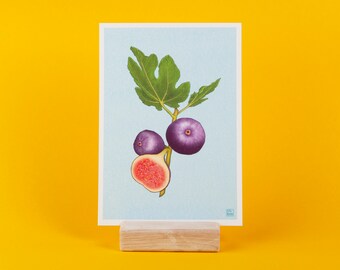 Figs colorful illustration (A6) | postcard with envelope