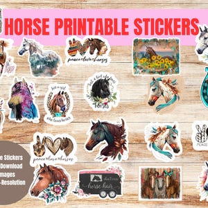 Pferd Aufkleber, druckbare Aufkleber, druckbare Aufkleber, digitaler Download Aufkleber, Geschenkidee für Pferde, Boho Pferde