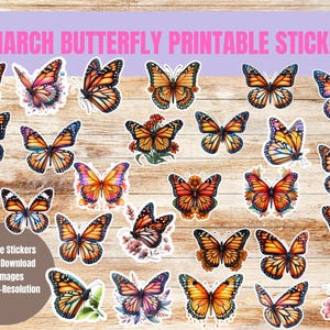 Monarch Butterfly watercolor stickers,Printable Digital Download, Boho Nature Aesthetic, Scrapbooking, Journaling, Planner Stickers