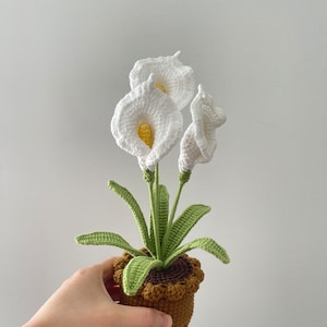 May include: A crocheted white calla lily plant in a brown pot with green leaves.