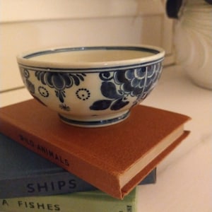 Könnte beinhalten: Eine blaue und weiße Keramikschüssel mit Blumenmuster. Die Schüssel steht auf einem Stapel von drei Büchern. Die Bücher sind betitelt mit "Wildtiere", "Schiffe" und "Seefische".
