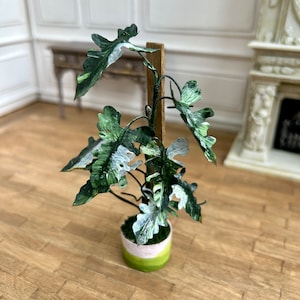 Mini Philodendron Golden Dragon Variegated, Handmade Miniature Plant for Dollhouse with Tiny Pot for Diorama or Room Box, 1:12 Scale