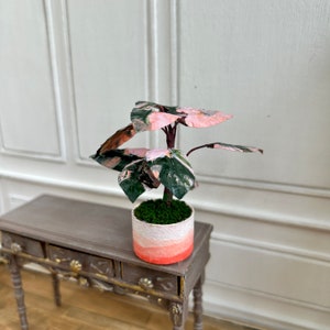Mini Philodendron Pink Princess Plant with Upcycled Pot, Handmade Detailed Dollhouse Decor, Perfect for Room Box & Diorama, 1:12 Scale