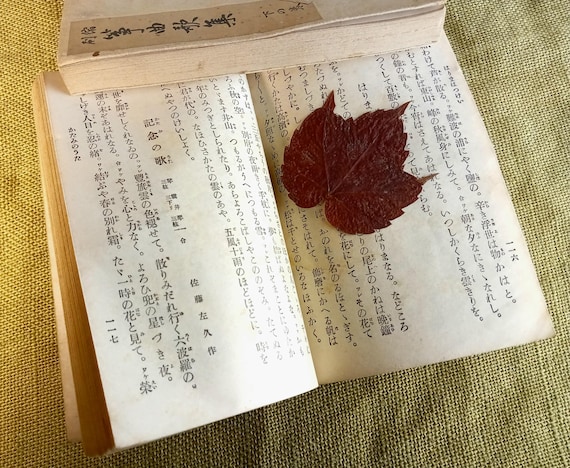 Japanese classical songs - traditional Yamada school study collection, 2 volumes