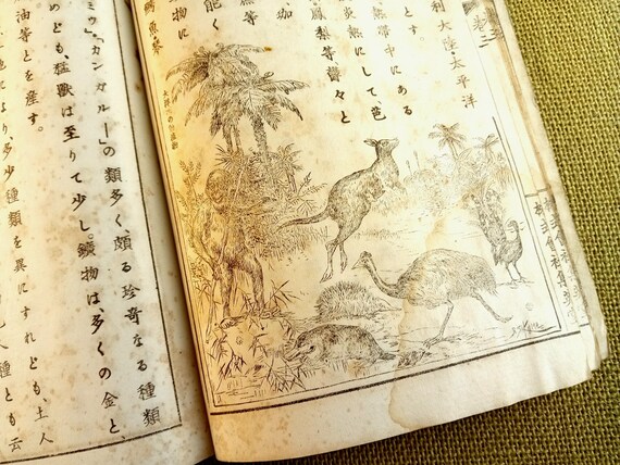 Books of era and meaning - antique Japanese woodblock book, geography, Meiji, 1900