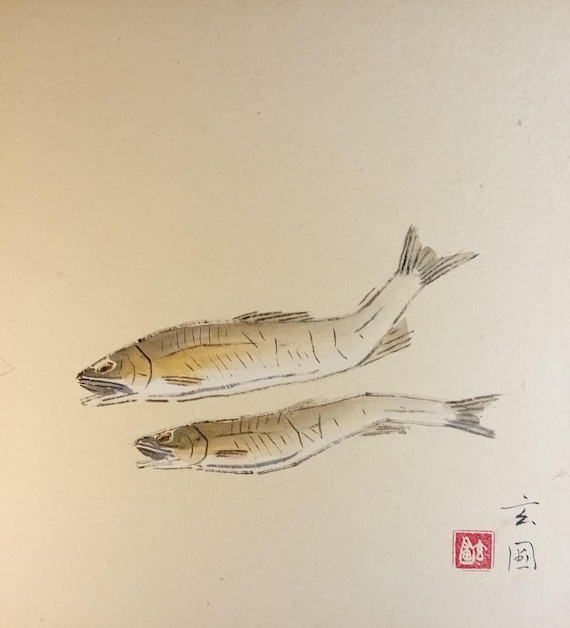 Akiyoshi Genpo – Two Ayu Fish – vintage Japanese painting on shikishi