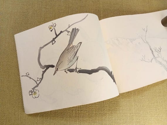 Antique Japanese practice painting album, Takeuchi Seihō, Meiji period, 12 woodblock prints