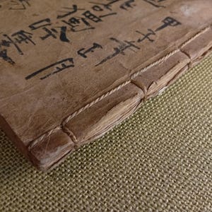 Libro de poesía japonés antiguo pintado a mano sobre papel washi - Patrimonio Buson, haiga, más de 100 ilustraciones imagen 19