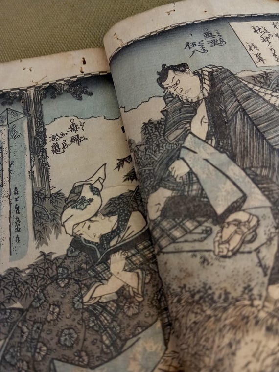 Antique Edo Japanese woodblock book, illustrated, Shōtei Kinsui, Utagawa Kunimaro, single volume, #4