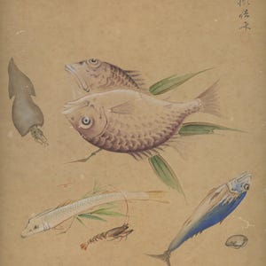 Antique Japanese Shikishi Painting | Original Fish Art on Silk by Bo Shunpei | Early 20th Century Maruyama-Shijo School