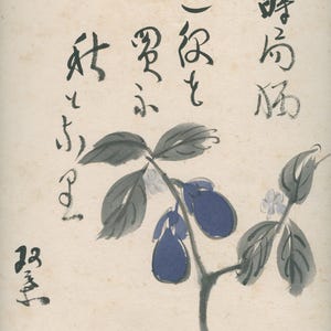 Vintage Japanese Shikishi Art • Signed Ink and Watercolor Fruit Branch, Haiku & Signature