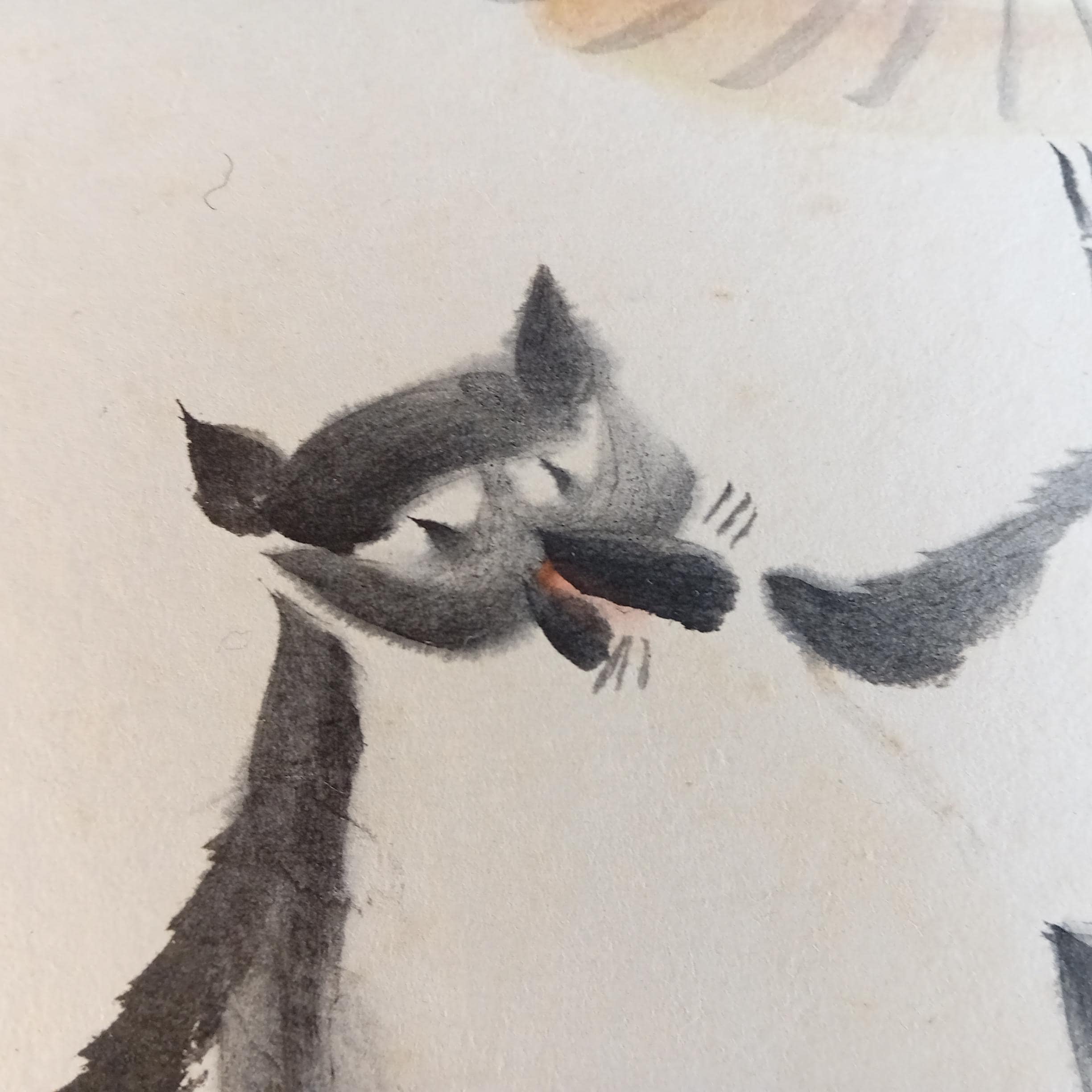 Vintage mid Showa Japanese tanuki painting on shikishi - raccoon