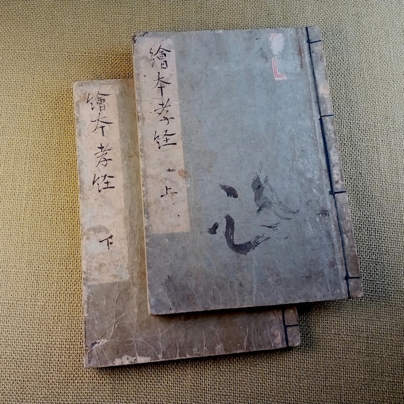 Illustrated filial piety classic - antique Japanese woodblock books, Edo 1813, set of 2