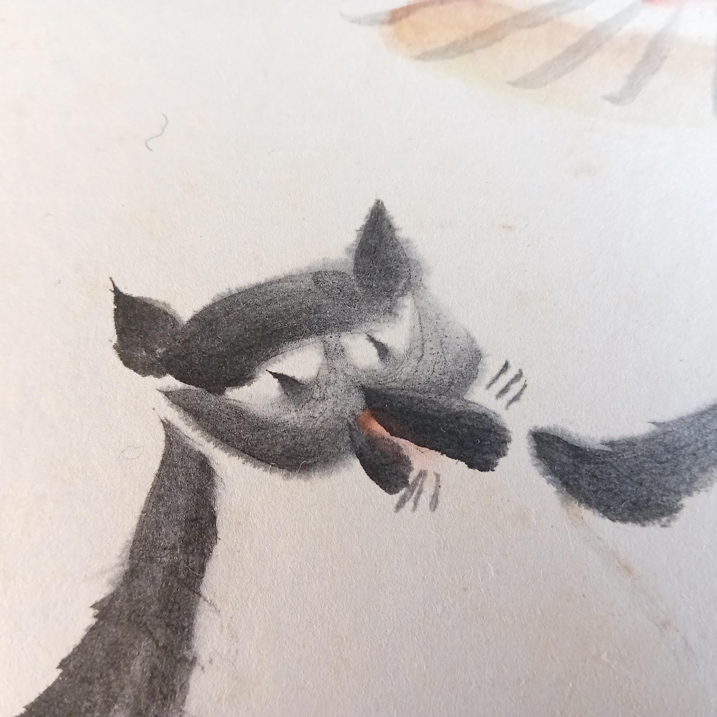 Vintage mid Showa Japanese tanuki painting on shikishi - raccoon