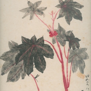 Antique Japanese Shikishi with Gold Border – “Leaves and Dragonfly” (Tombo), signed 山, dated Meiwa 1763 (Taishō–Early Shōwa)